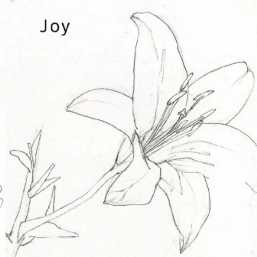 Joy Big Sale