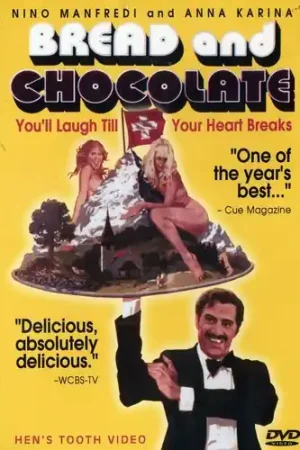 New Release Bread and Chocolate