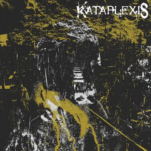 One Day Deal Kataplexis