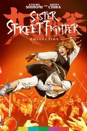 Limited Time Sister Street Fighter Collection