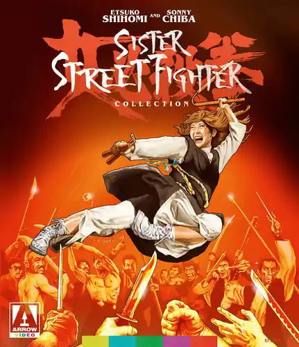 Limited Time Sister Street Fighter Collection