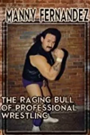 Limited Edition Best Of Manny Fernandez 1