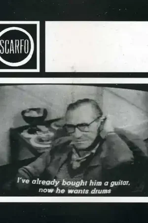 Scarfo Bulk Order
