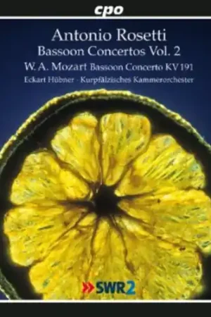 Handmade Bassoon Concertos 2