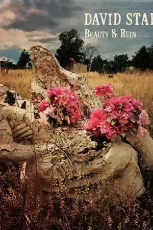 Handmade Beauty & Ruin [LP]