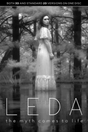 Leda Fast Shipping