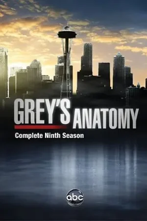 Direct From Factory Grey's Anatomy: The Complete Ninth Season