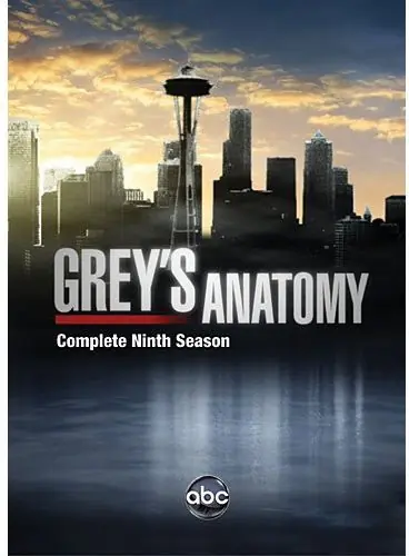 Direct From Factory Grey's Anatomy: The Complete Ninth Season