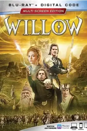 Best Choice Willow