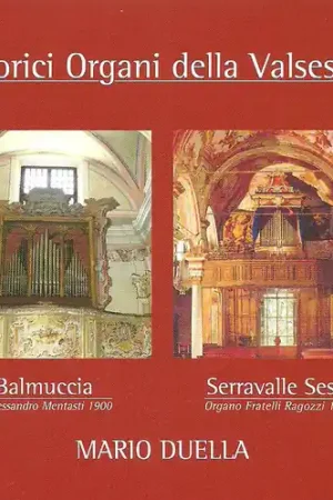 Storici Organi Della Valsesia Handmade