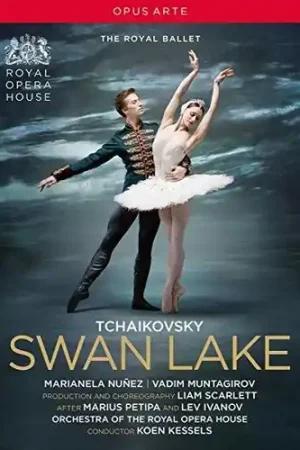 Big Sale Swan Lake
