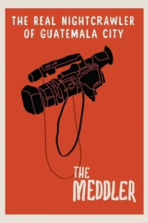 Budget Meddler: The Real Nightcrawler Of Guatemala City