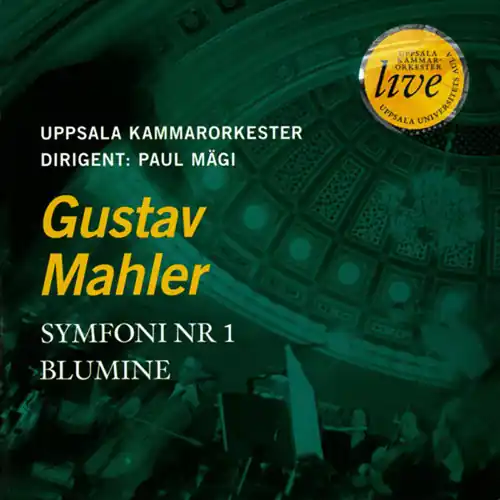 Must Have Symphony No. 1 / Blumine
