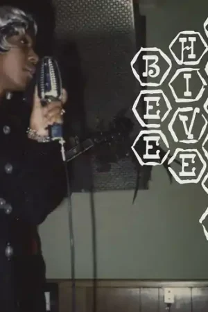 Exclusive Beehive Breaks / Various