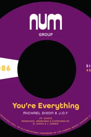 You're Everything B/W You're All I Need [Colored Vinyl] Affordable