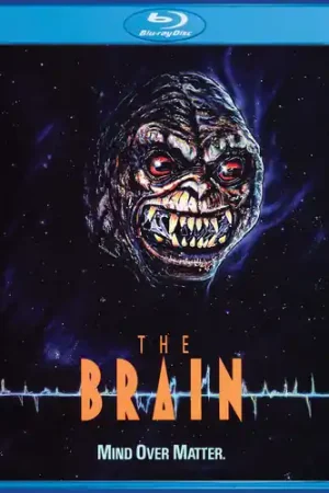 The Brain Hot Deal