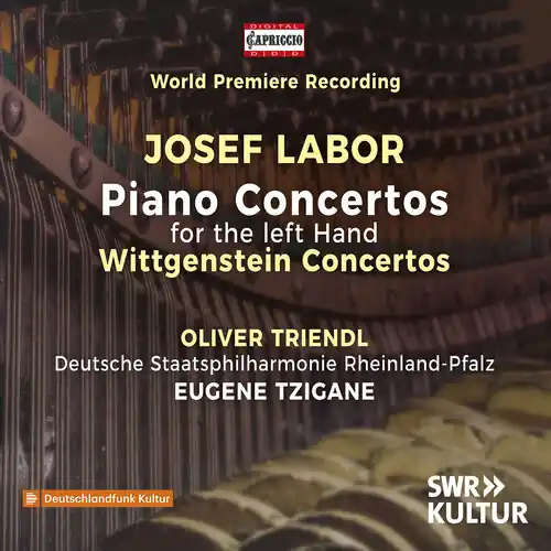 Left Hand Piano Concertos Wittgenstein Concertos Popular
