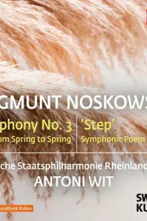 Budget Zygmunt Noskowski: Sym No. 3