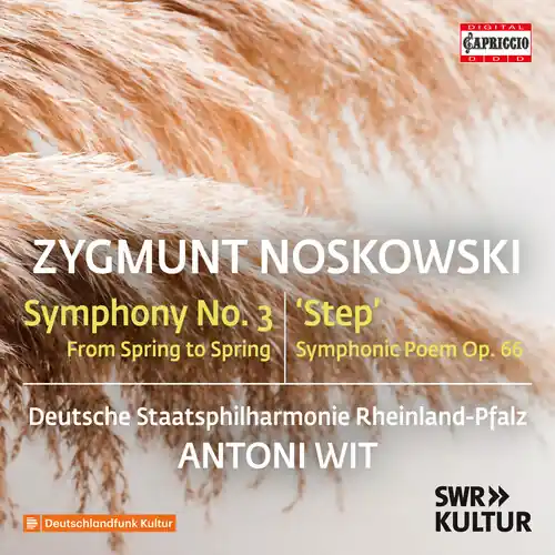 Budget Zygmunt Noskowski: Sym No. 3