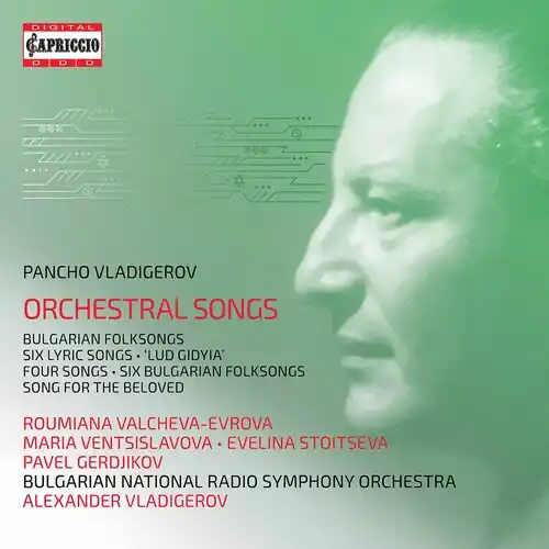 Orchestral Songs (2pk) Handmade