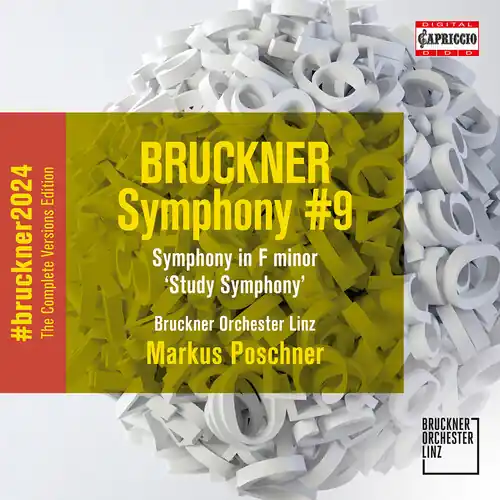Symphony No. 9 Symphony In F Minor Study Free Shipping