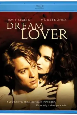Dream Lover Trending