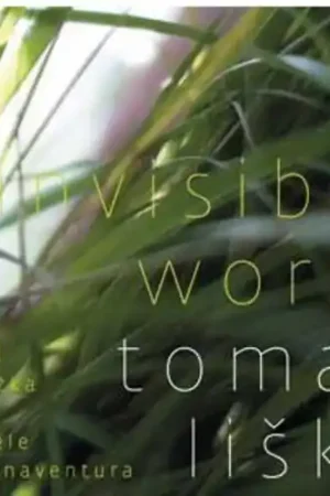 Affordable Invisible World