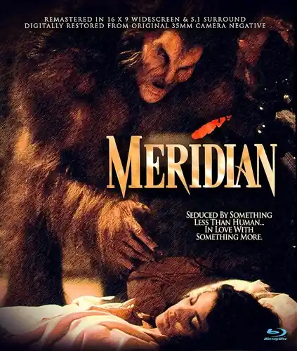 Fast Shipping Meridian