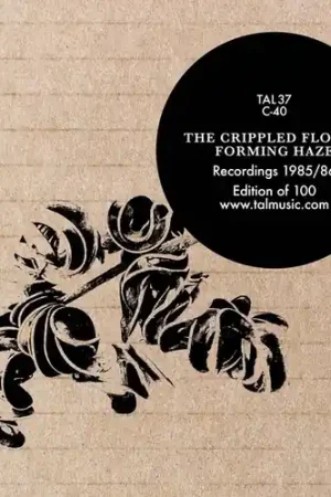Seasonal Sale Forming Haze