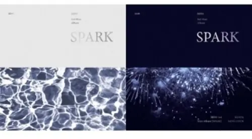 Spark (Chapter. 1 / Chapter. 2) Professional Grade