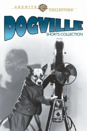 Dogville Shorts Collection Buy Today