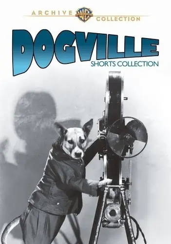 Dogville Shorts Collection Buy Today