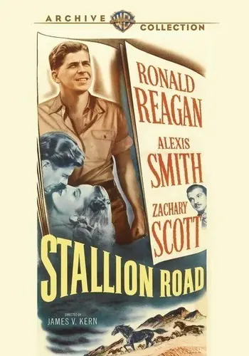 Stallion Road Best Seller