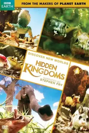 Editor’s Pick Hidden Kingdom