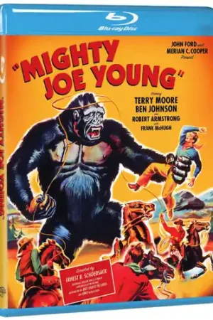 Mighty Joe Young Top Pick