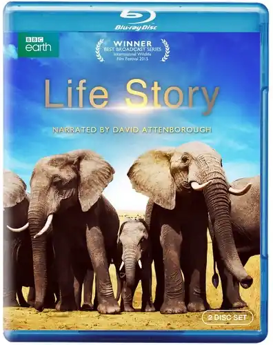 Life Story Hot Deal
