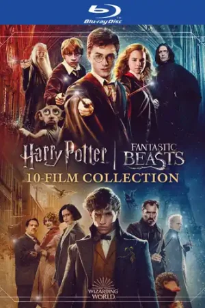 Wizarding World: 10-Film Collection New Arrival