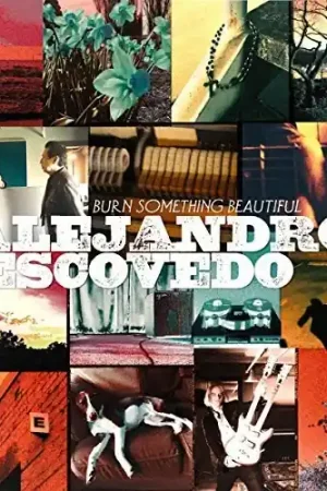 Reduced Price Burn Something Beautiful [2 LP]