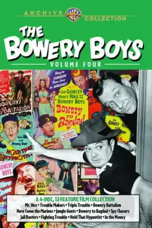 Grab Now The Bowery Boys: Volume Four