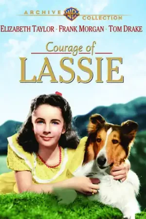 Courage of Lassie Buy Online