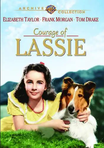 Courage of Lassie Buy Online