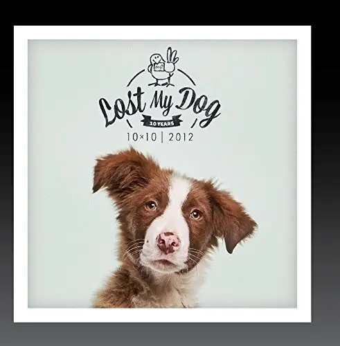 Fan Favorite Lost My Dog 10x10 - 2012