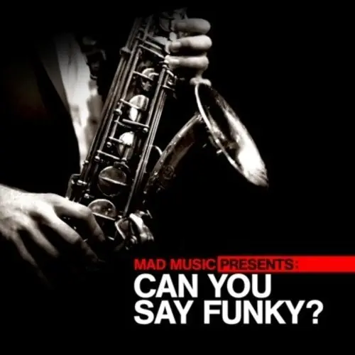 In Demand Mad Music Presents Can You Say Funky / Various