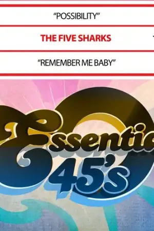 Possibility / Remember Me Baby (Digital 45) (Mod) Super Sale