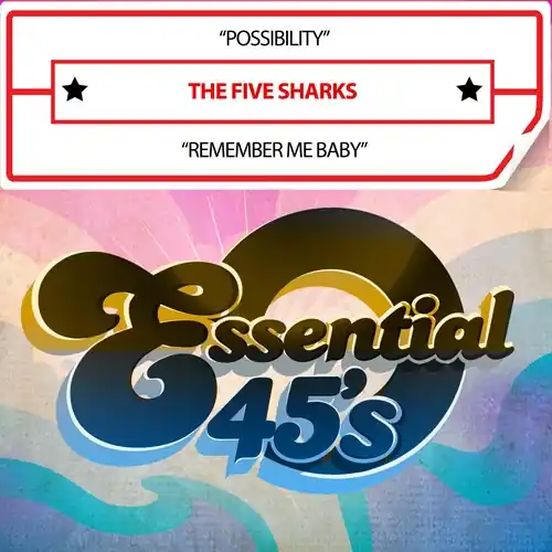 Possibility / Remember Me Baby (Digital 45) (Mod) Super Sale