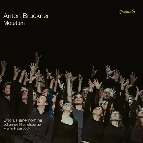 Factory Price Motetten