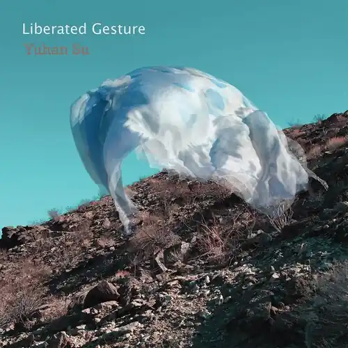 Liberated Gesture Limited Time