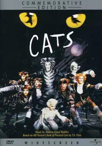 Cats High Quality