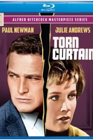 Limited Edition Torn Curtain