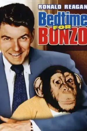 Budget Bedtime for Bonzo